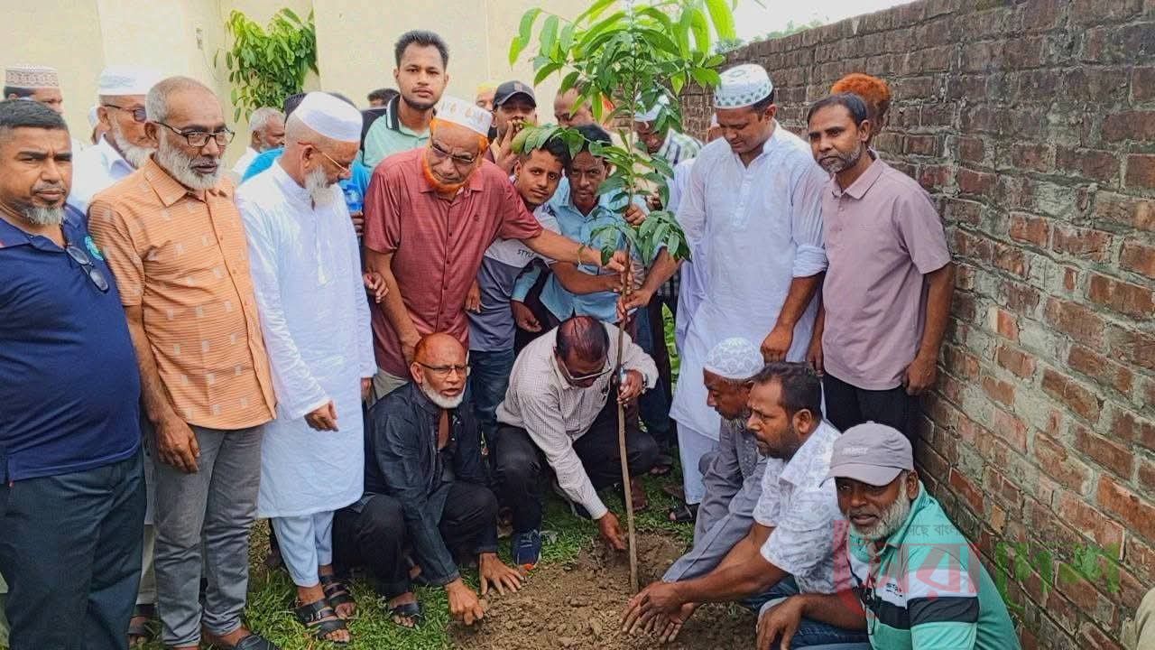 বিএনপির ৪৮তম প্রতিষ্ঠাবার্ষিকী উপলক্ষে বগুড়া শাখারিয়া আলিম মাদরাসায় বৃক্ষরোপণ