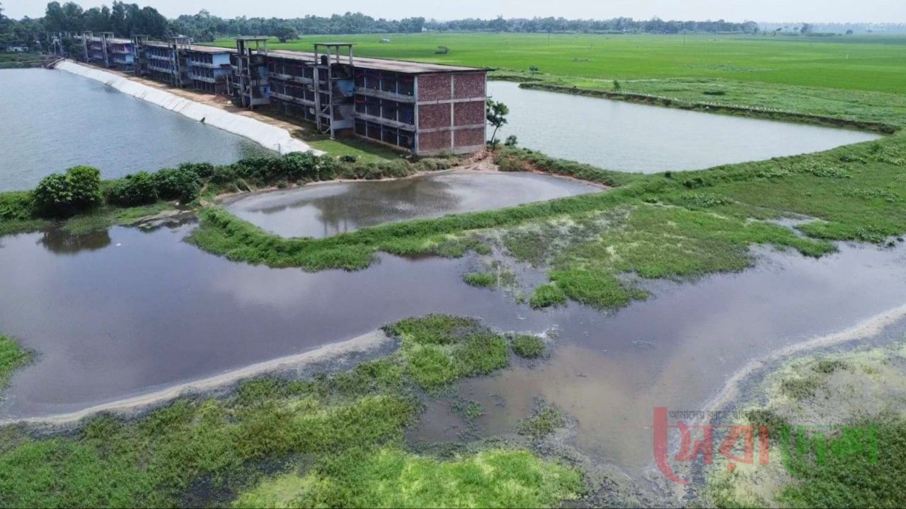 বদলগাছীতে মুরগির খামারের বর্জ্যে ক্ষতির মুখে কৃষক